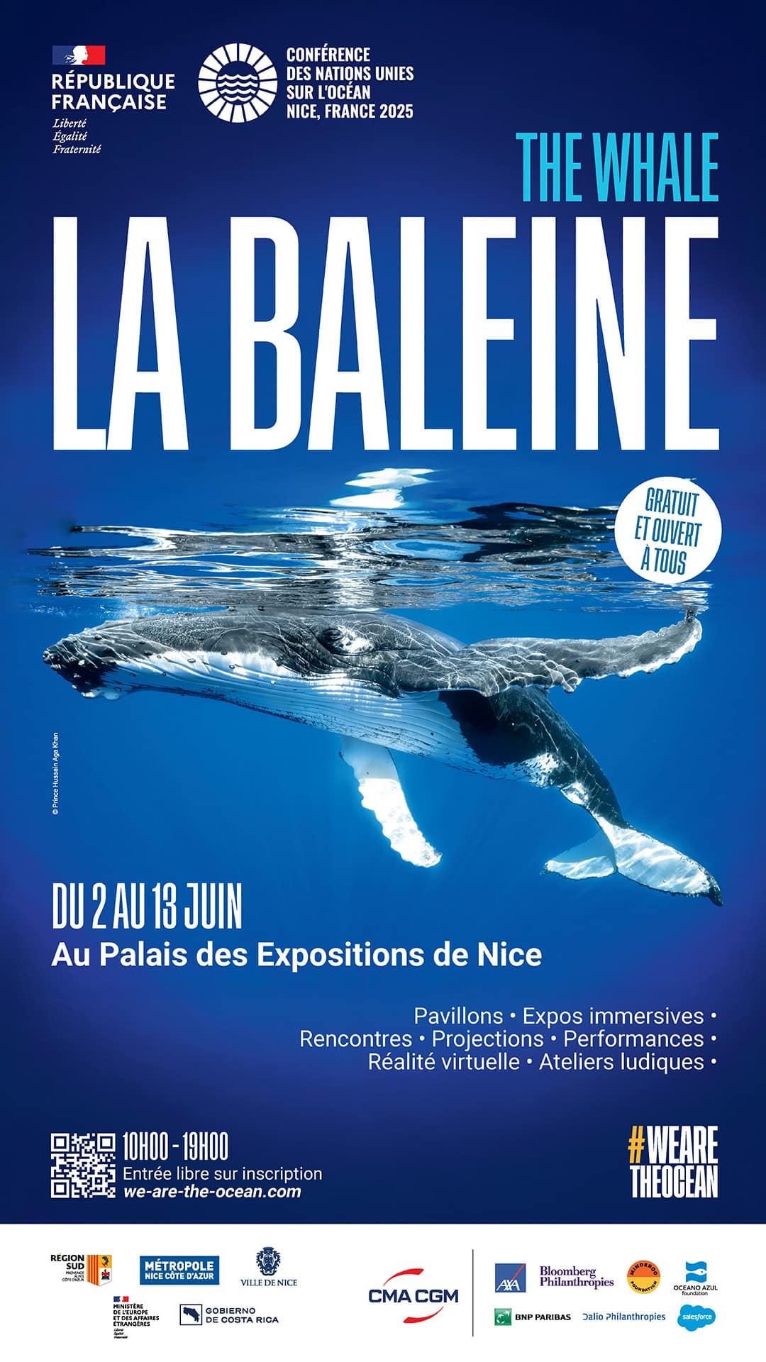 Poster UNOC Nice a whale underwater view